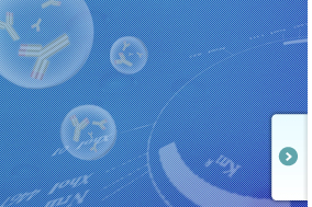 CMCサービス